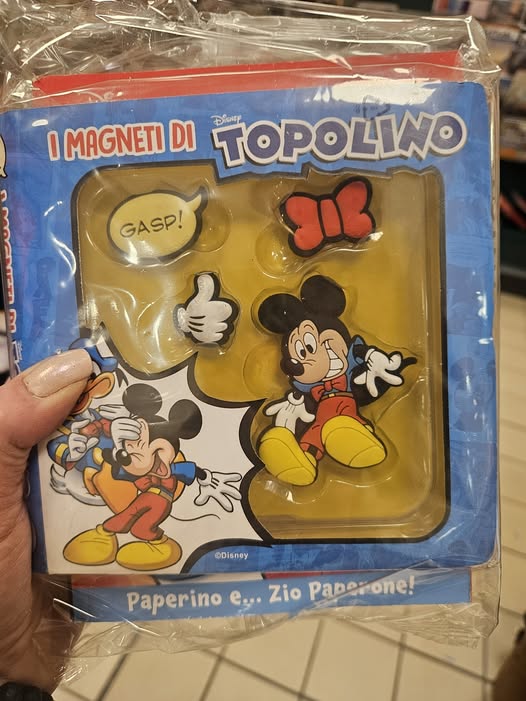 Set di Magneti di Topolino e/o Paperino