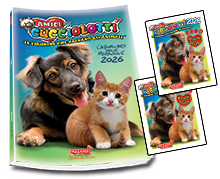 Classic Album Set and envelopes Stickers Friends PUPPY 2024 Starter Pack Book
