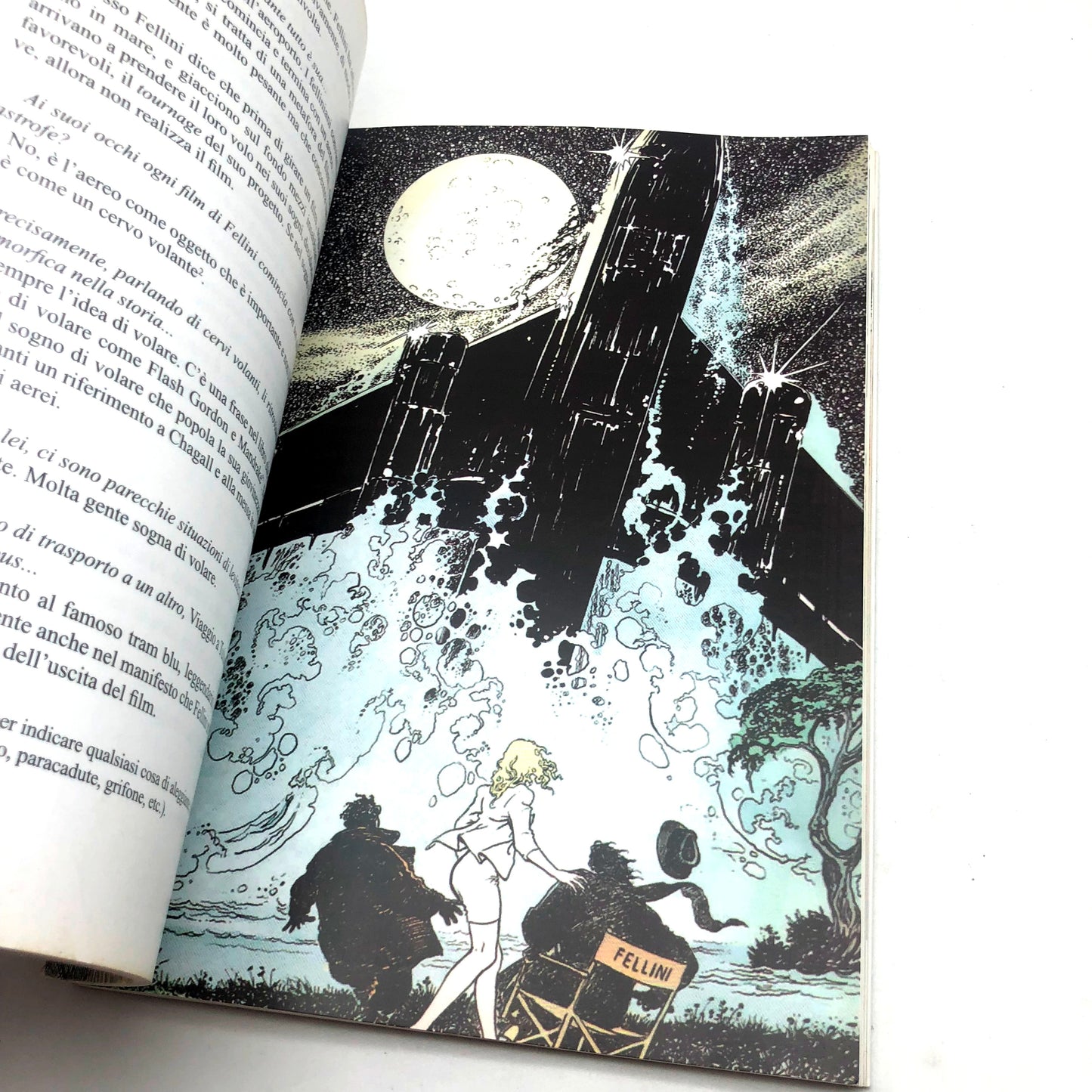 Libro Fellini e Manara - Tra mistero, esoterismo ed erotismo (Usato)